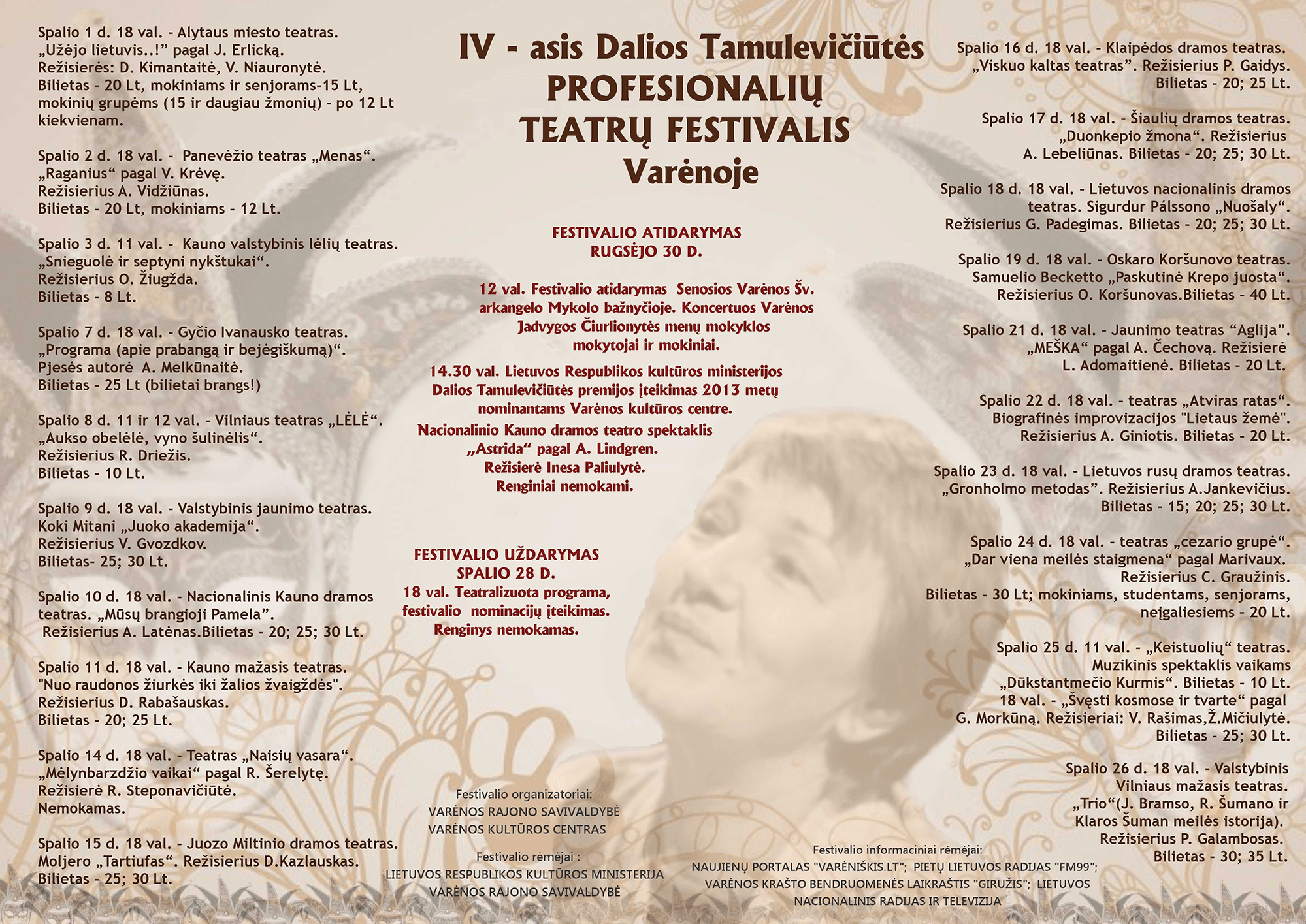 DT plakatas 2013
